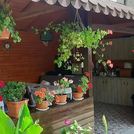 Casa Eduard Mangalia